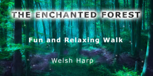 Welsh Harp fun and relaxing walk