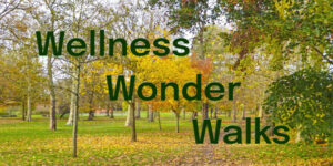 Wellness Wonder Walks Roundwood Park