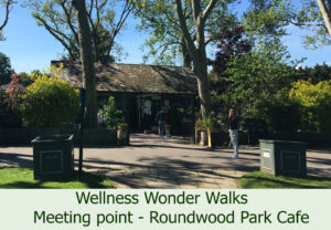 Wellness Wonder Walks meeting point - Roundwood Park Cafe