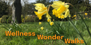 Wellness Wonder Walks Braham Park, Wembley, Brent free walks